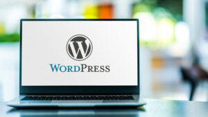 Izdelava wordpress spletnih strani
